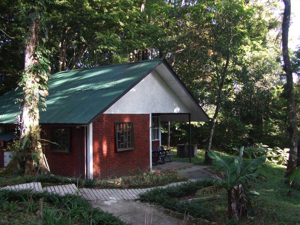 Two Bedroom Bungalows Selva Negra Ecolodge Lodging
