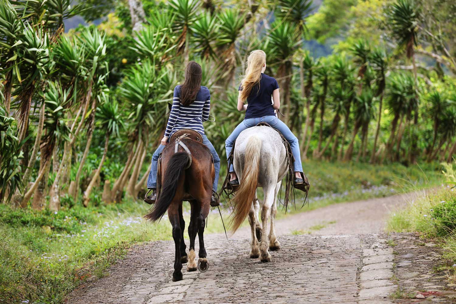 Horseback riding Selva Negra Ecolodge Activities