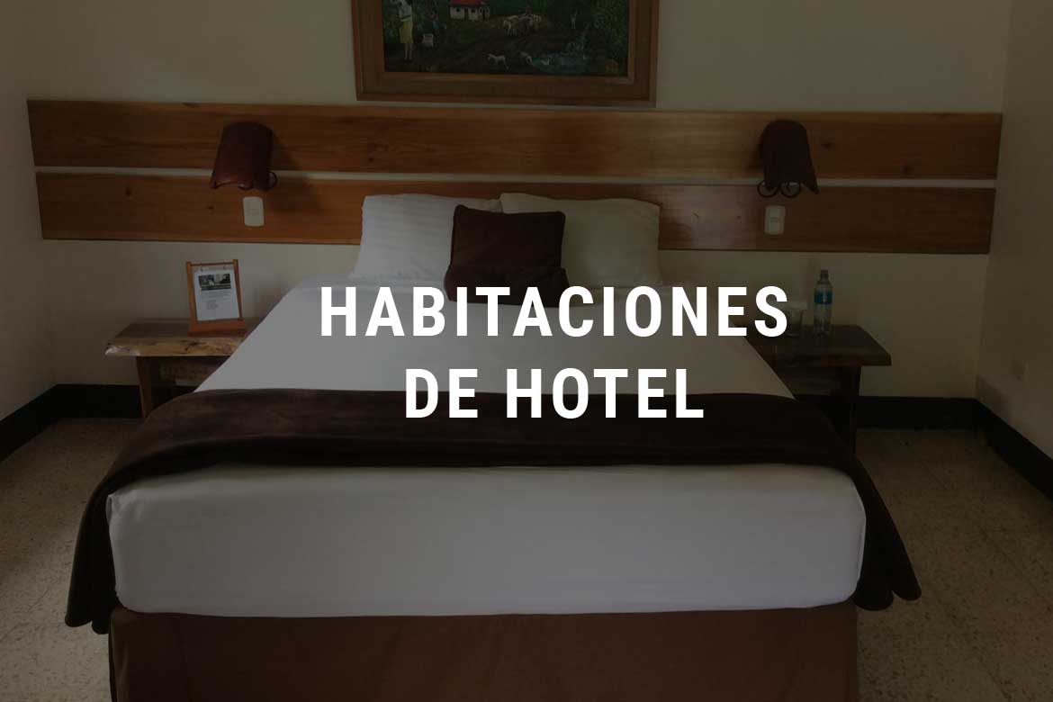 Habitaciones de hotel - Selva Negra Ecolodge