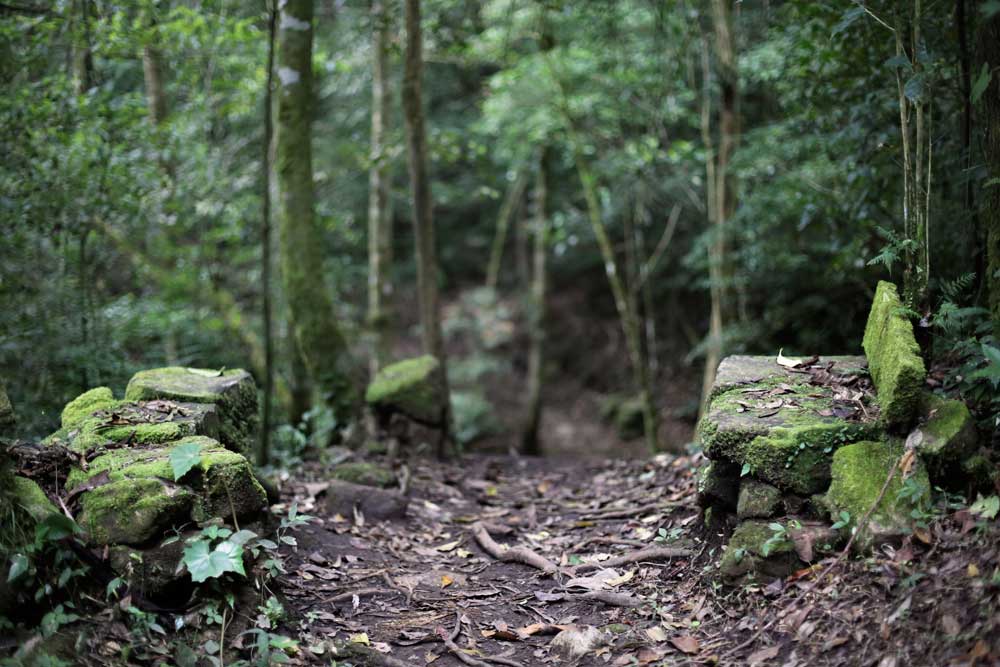 Hiking Selva Negra Ecolodge Activitites