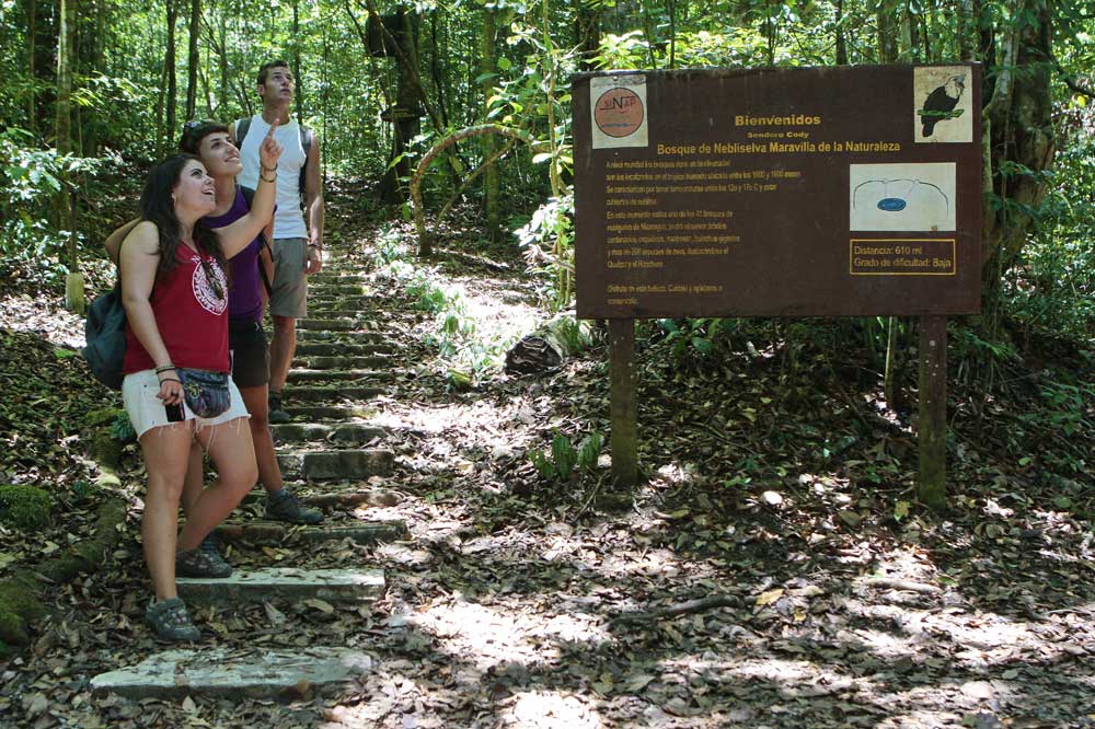Hiking Selva Negra Ecolodge Activities