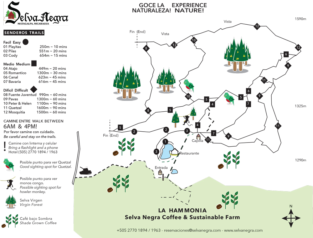 Trail map Hiking Senderismo Selva Negra Ecolodge