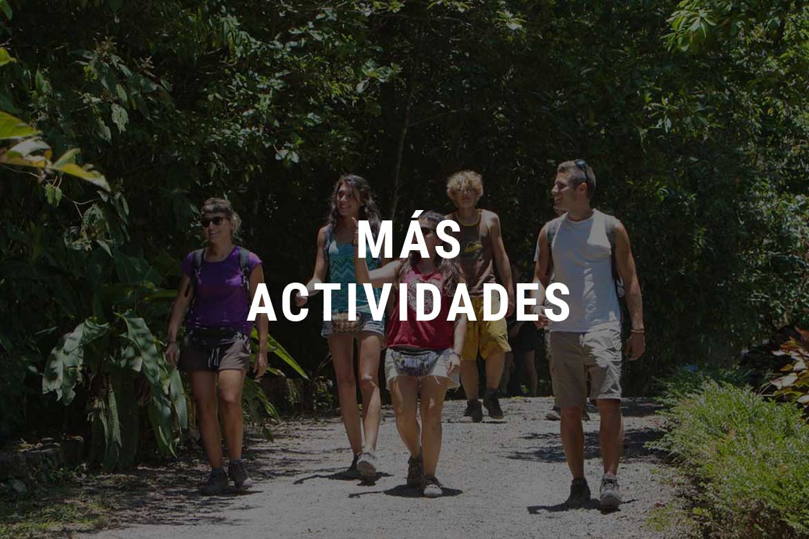 MAS-ACTIVIDADES