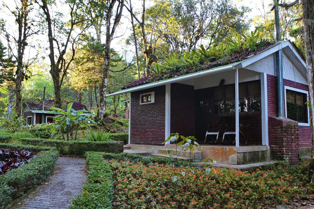 One Bedroom Bungalows Selva Negra Ecolodge Lodging