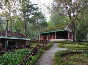 One Bedroom Bungalows Selva Negra Ecolodge Lodging