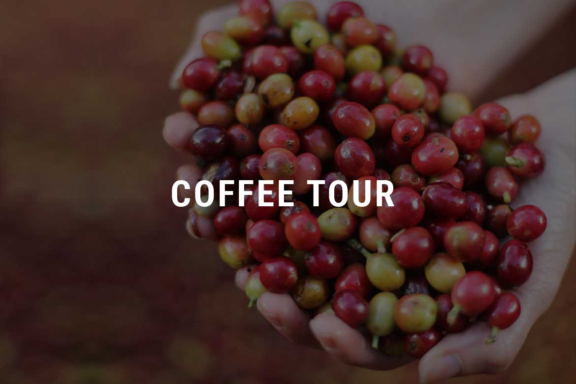 Coffee Tour Selva Negra Ecolodge