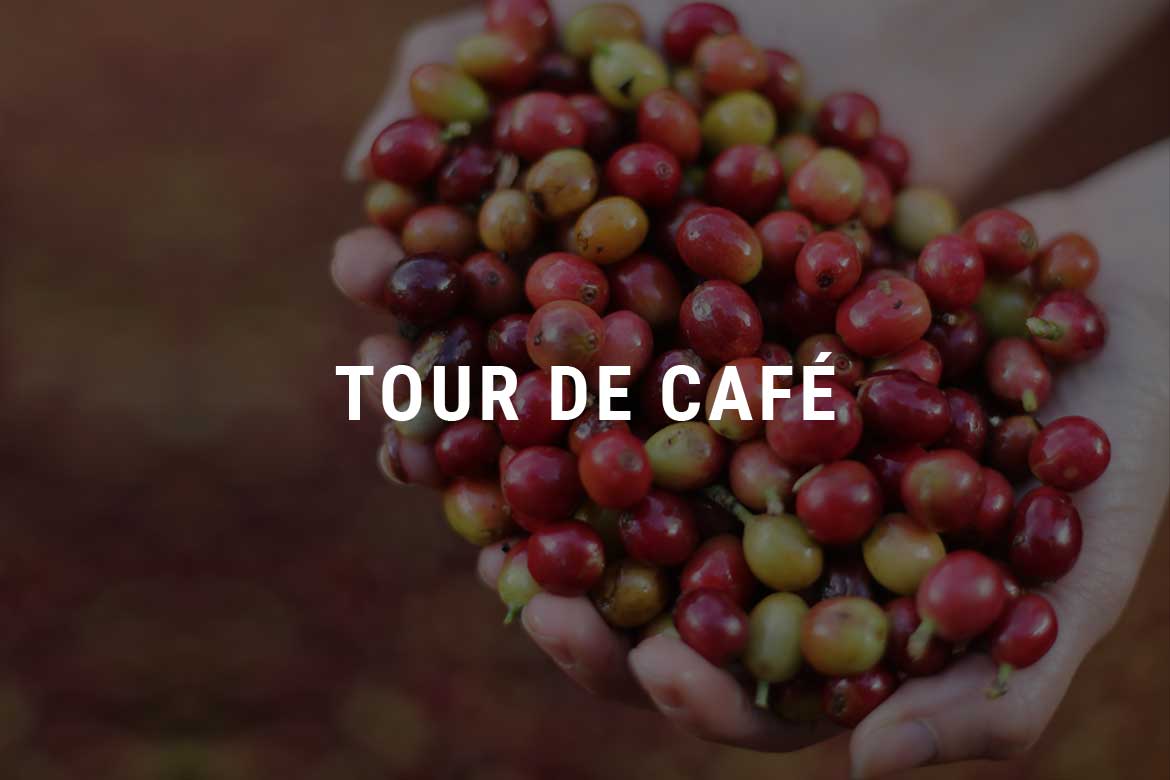 Tour de café - Selva Negra Ecolodge