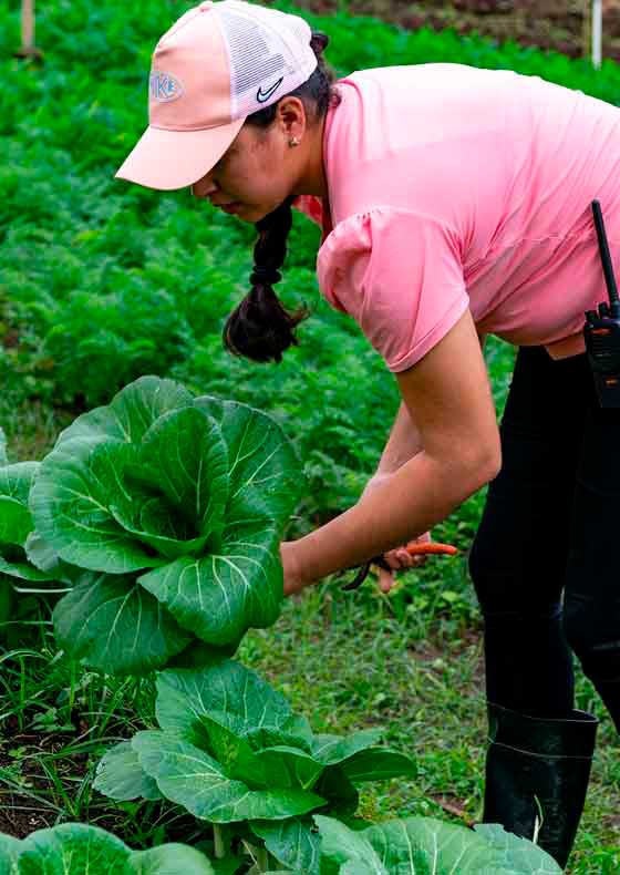 Finca La Hammonia