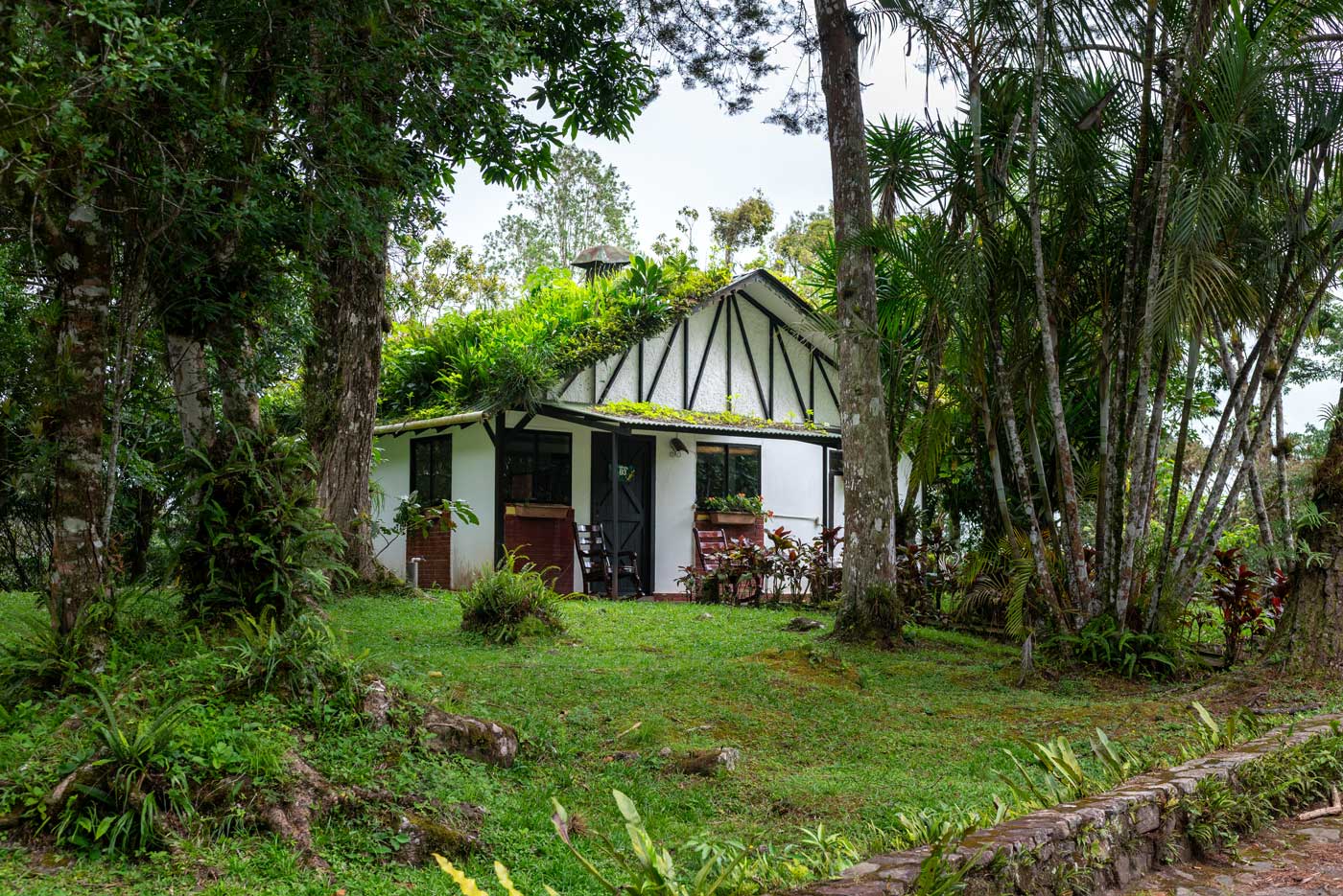 Selva Negra - Nicaragua -Cabañas