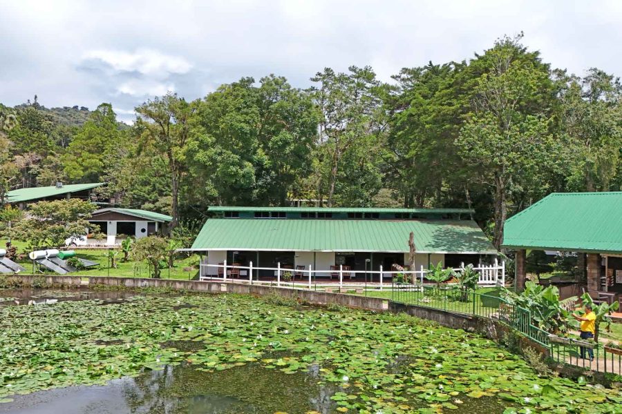 Superior-Zimmer
(2pax max)