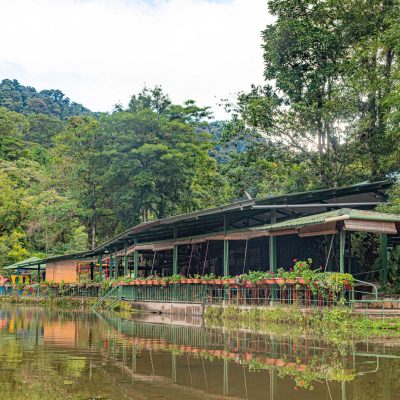 Restaurante-La-Laguna