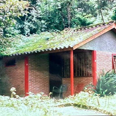 Selva-Negra-Historia-19