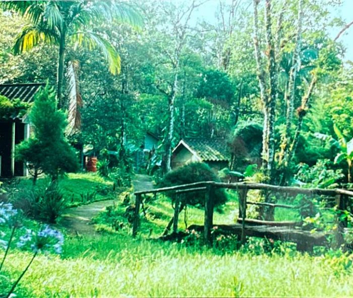 Selva-Negra-Historia-20