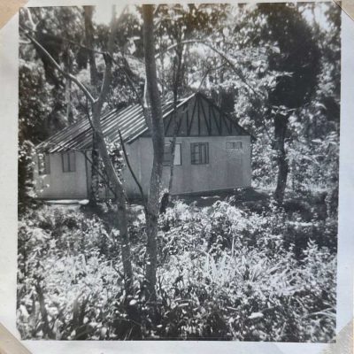 Selva-Negra-Historia-26