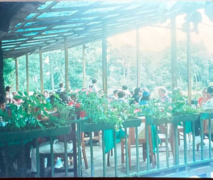 Selva-Negra-Historia-3