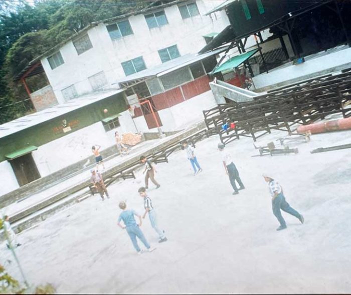 Selva-Negra-Historia-8