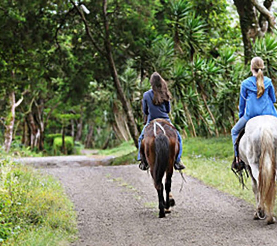 SliderCabalgatas_001