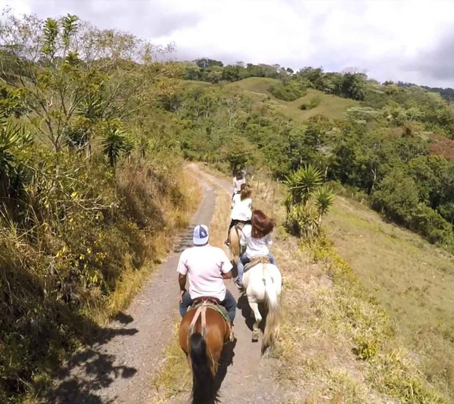 SliderCabalgatas_003