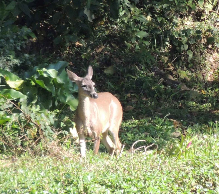 SliderNaturaleza_001