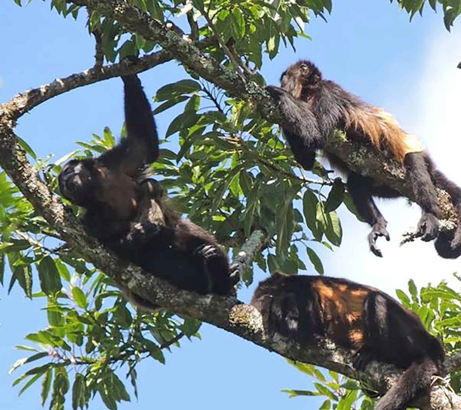 SliderNaturaleza_002