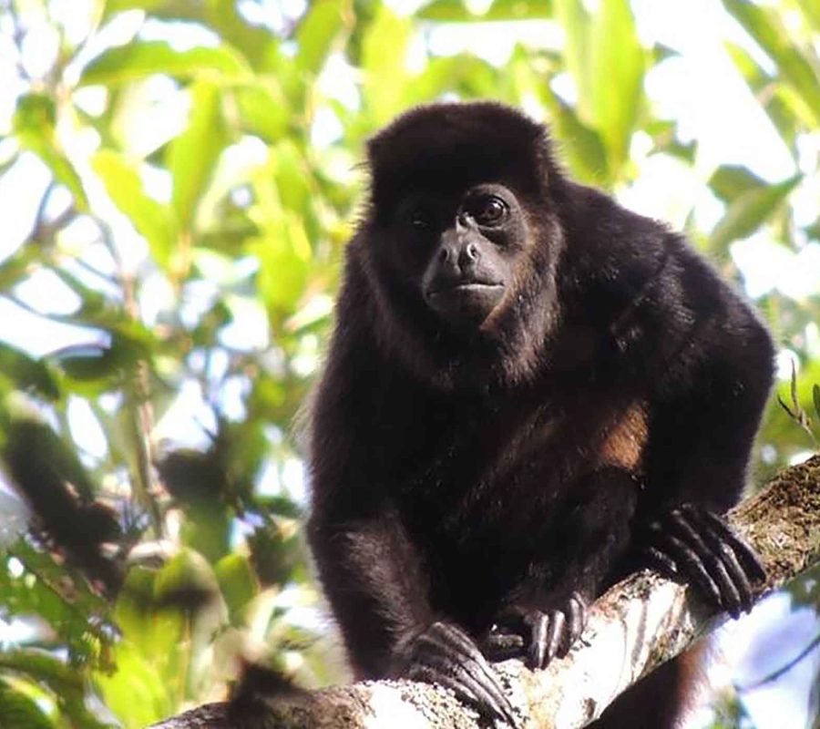 SliderNaturaleza_003