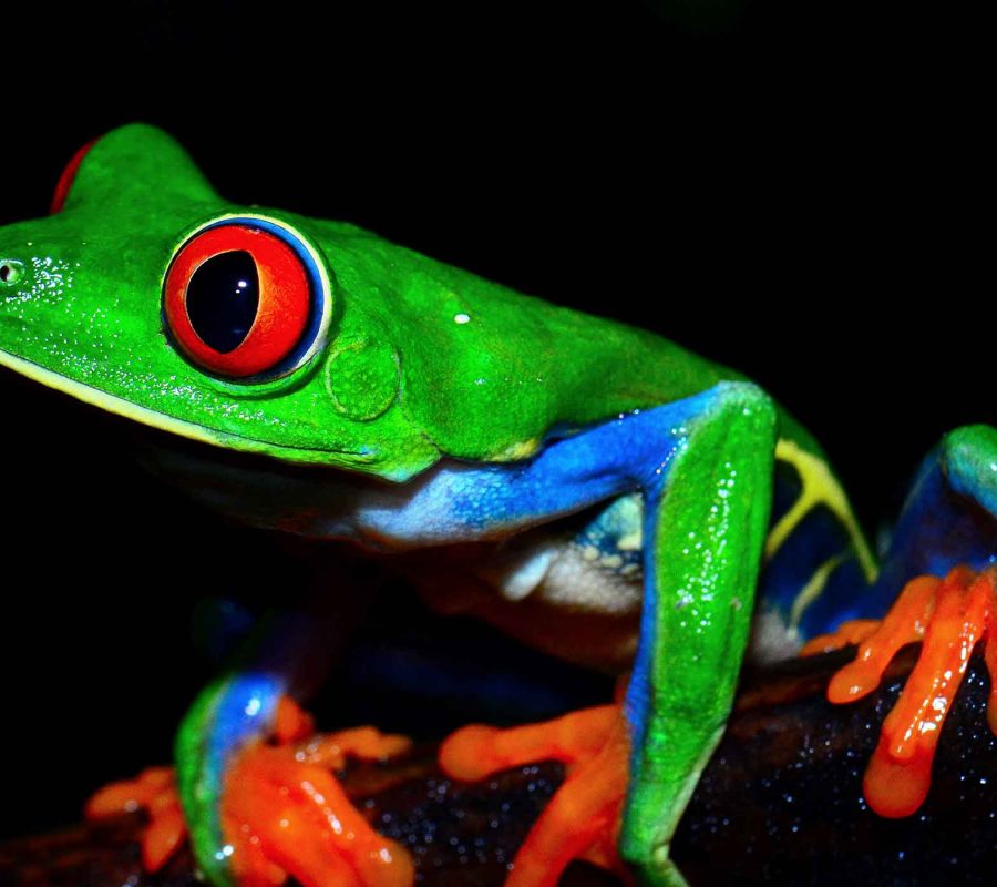 SliderNaturaleza_004