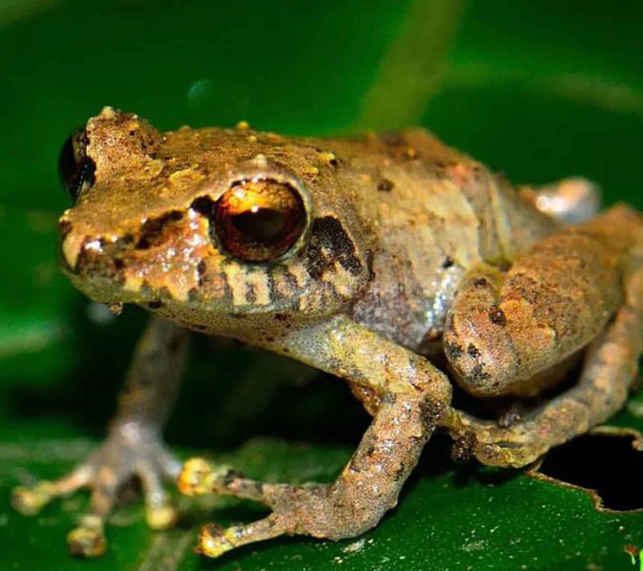 SliderNaturaleza_005