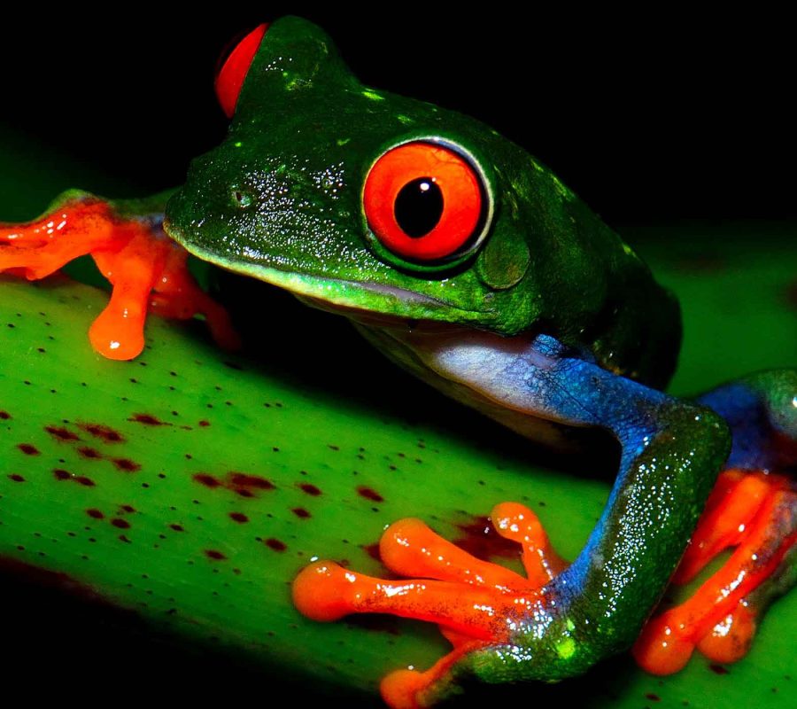 SliderNaturaleza_006