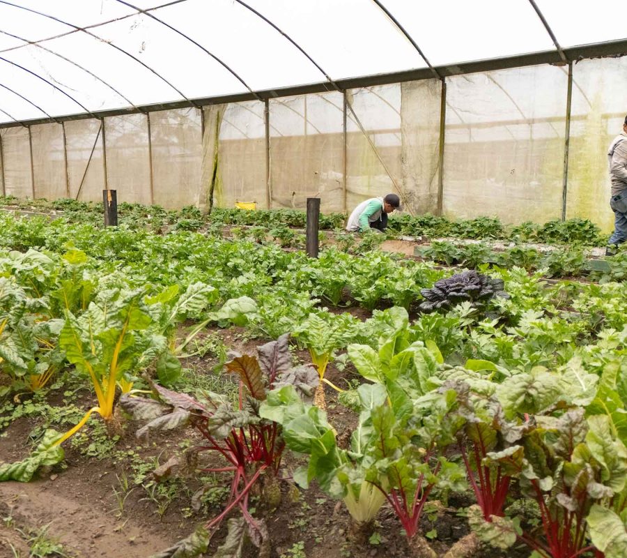 Slider_LaHammonia_002