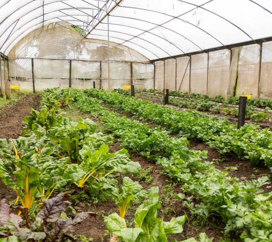 Slider_LaHammonia_003