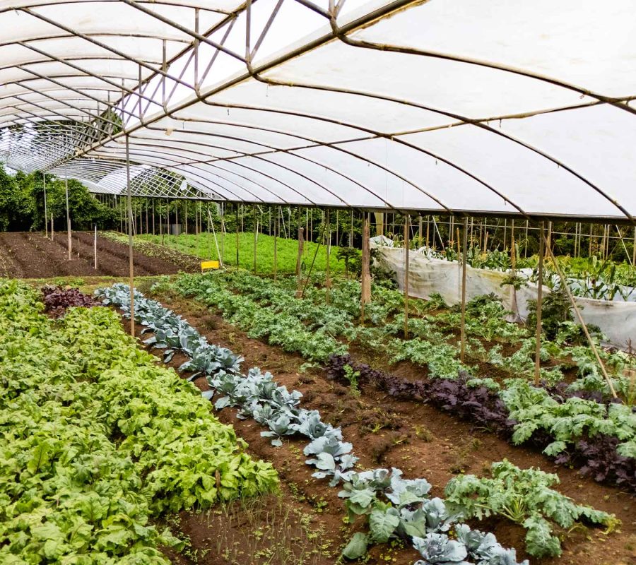 Slider_LaHammonia_004