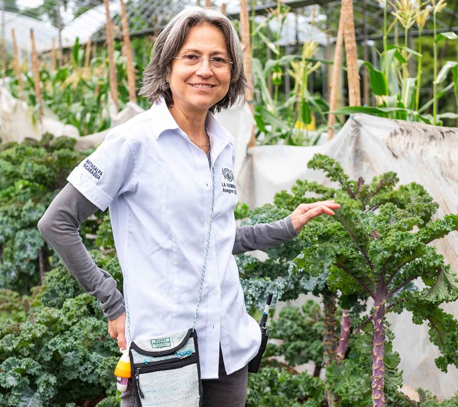 Slider_LaHammonia_006