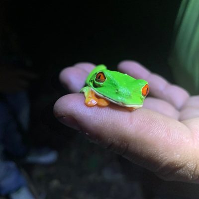 WhatsApp Image 2025-08-25 at 5.27.23 PM