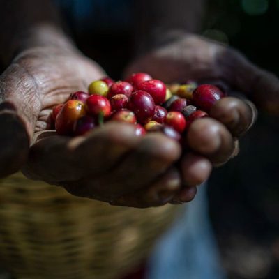 WhatsApp Image 2025-08-25 at 5.27.24 PM