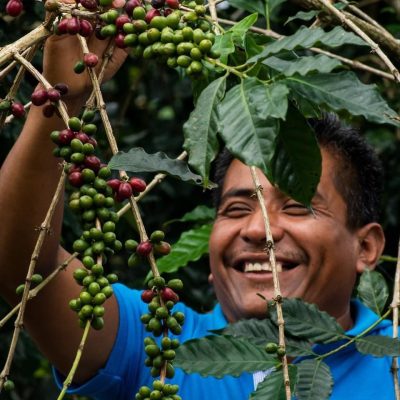 WhatsApp Image 2025-08-25 at 5.27.25 PM (1)