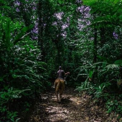 WhatsApp Image 2025-08-25 at 5.27.26 PM (1)