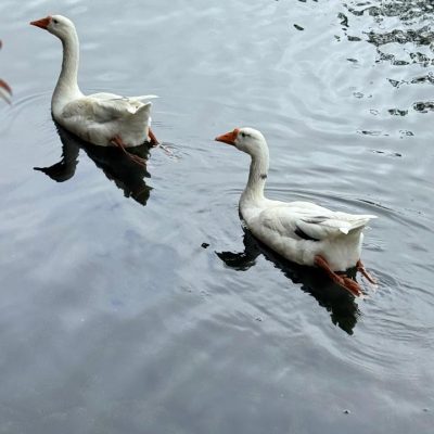 WhatsApp Image 2025-08-25 at 5.29.10 PM (2)