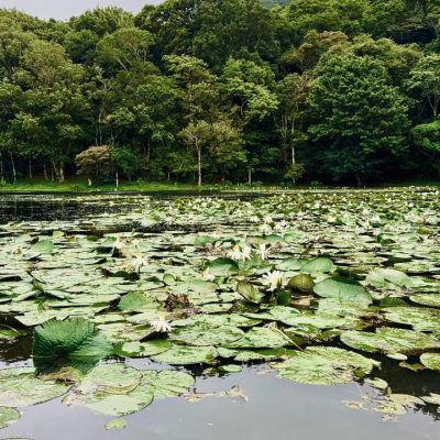 WhatsApp Image 2025-08-25 at 5.29.10 PM