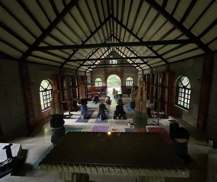 Retiro de Yoga - Selva Negra